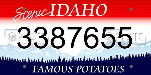 3387655 Idaho License Plate