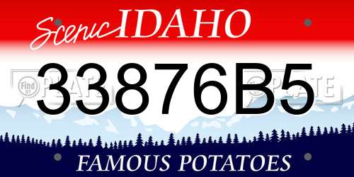 33876B5 Idaho License Plate