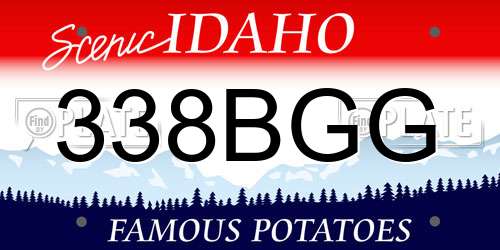 338BGG Idaho License Plate