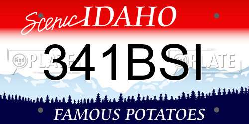 341BSI Idaho License Plate