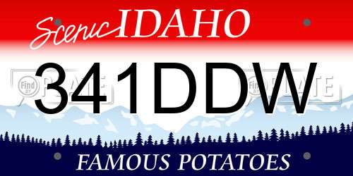 341DDW Idaho License Plate