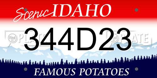 344D23 Idaho License Plate