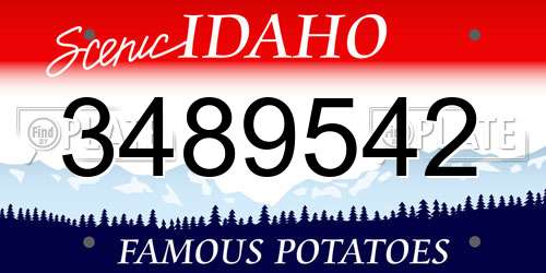 3489542 Idaho License Plate