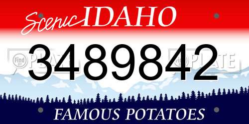 3489842 Idaho License Plate