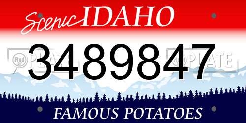 3489847 Idaho License Plate