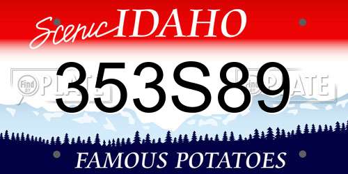 353S89 Idaho License Plate