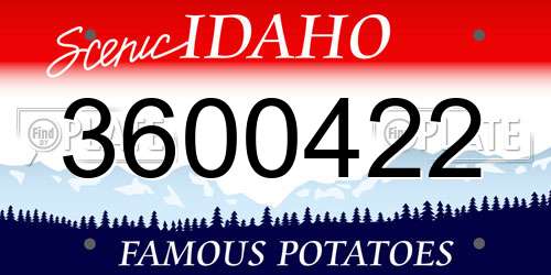 3600422 Idaho License Plate
