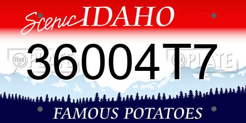 36004T7 Idaho License Plate