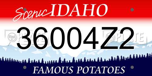 36004Z2 Idaho License Plate