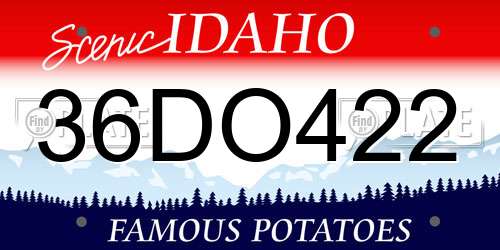 36DO422 Idaho License Plate
