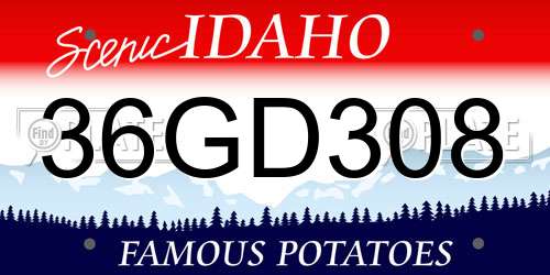 36GD308 Idaho License Plate