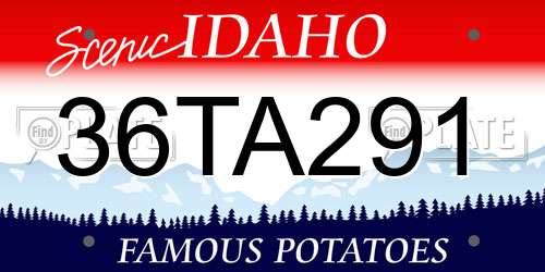 36TA291 Idaho License Plate