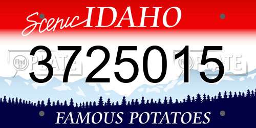 3725015 Idaho License Plate