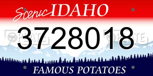 3728018 Idaho License Plate