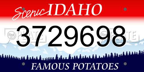 3729698 Idaho License Plate