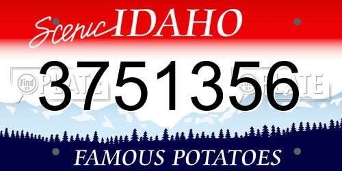 3751356 Idaho License Plate