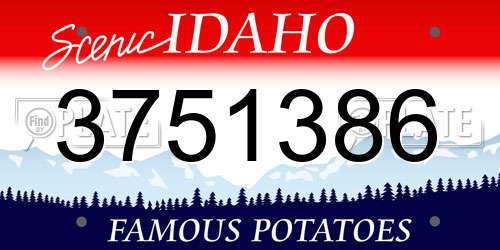 3751386 Idaho License Plate