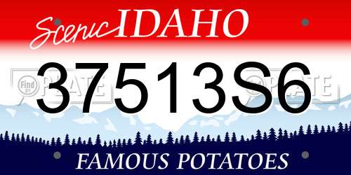 37513S6 Idaho License Plate