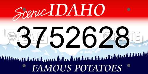 3752628 Idaho License Plate