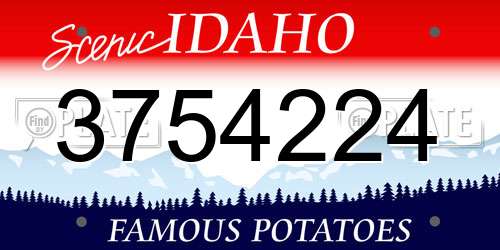 3754224 Idaho License Plate