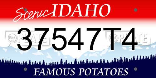 37547T4 Idaho License Plate
