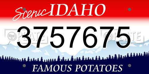 3757675 Idaho License Plate