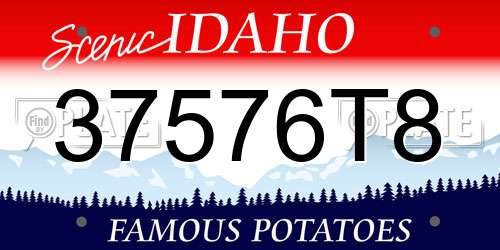 37576T8 Idaho License Plate