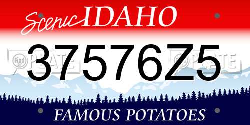 37576Z5 Idaho License Plate