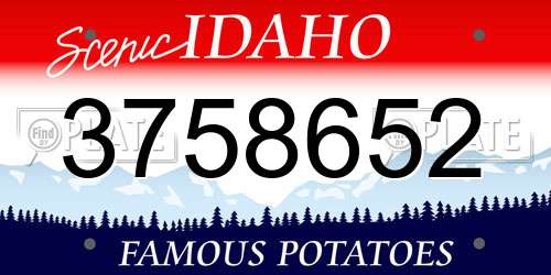 3758652 Idaho License Plate
