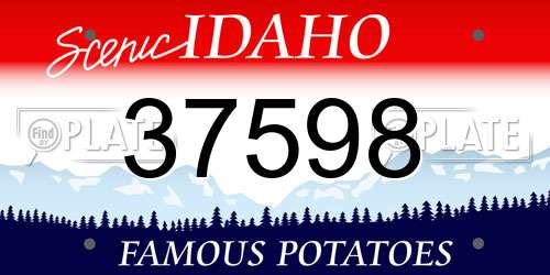37598 Idaho License Plate