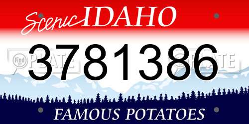 3781386 Idaho License Plate