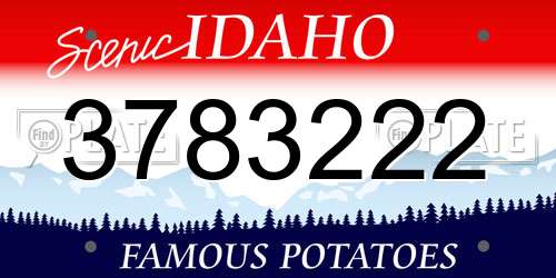 3783222 Idaho License Plate