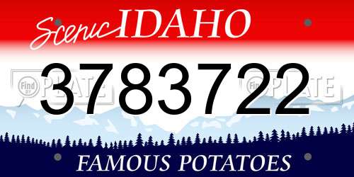3783722 Idaho License Plate