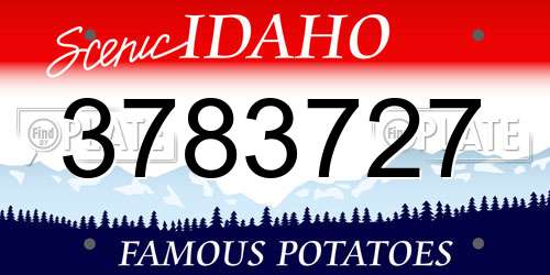 3783727 Idaho License Plate