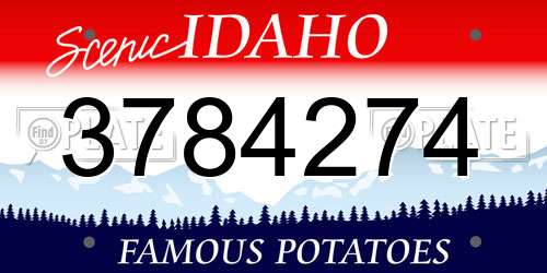 3784274 Idaho License Plate