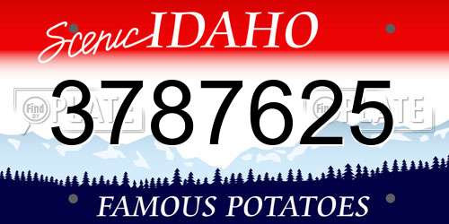 3787625 Idaho License Plate