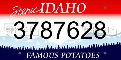 3787628 Idaho License Plate