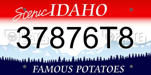 37876T8 Idaho License Plate