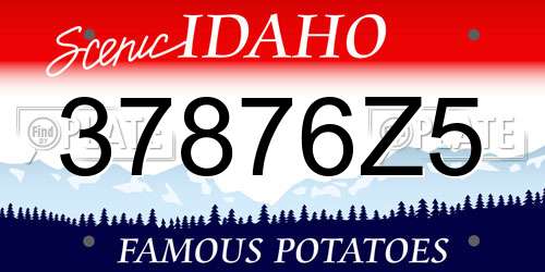 37876Z5 Idaho License Plate