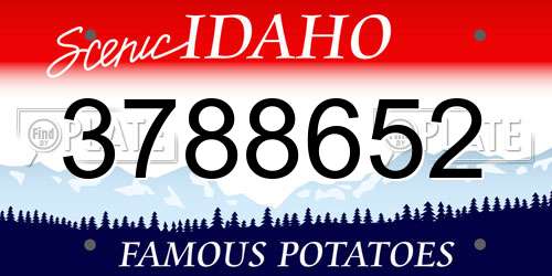 3788652 Idaho License Plate