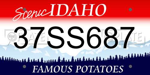 37SS687 Idaho License Plate