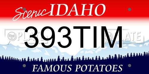 393TIM Idaho License Plate