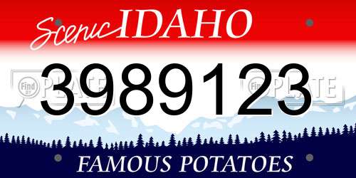 3989123 Idaho License Plate