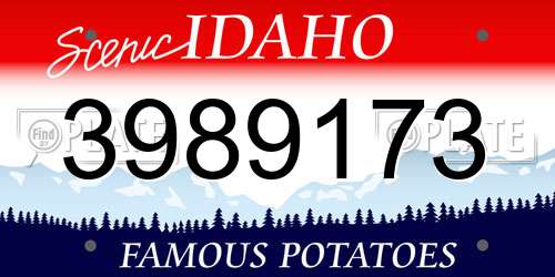 3989173 Idaho License Plate