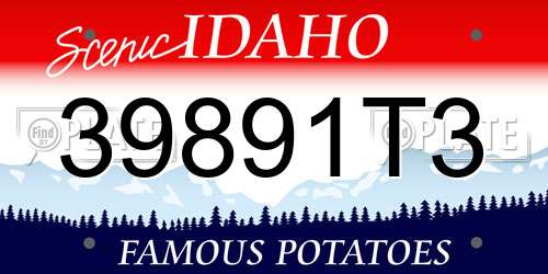 39891T3 Idaho License Plate