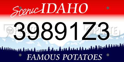 39891Z3 Idaho License Plate