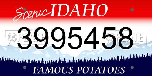 3995458 Idaho License Plate