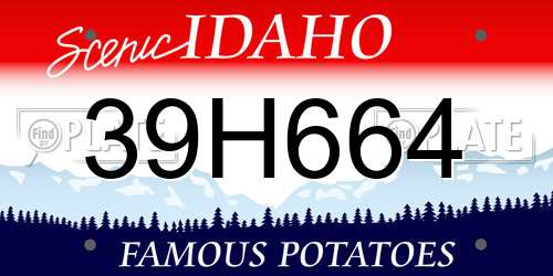 39H664 Idaho License Plate