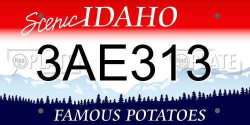3AE313 Idaho License Plate