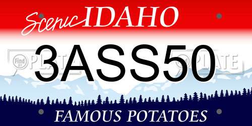 3ASS50 Idaho License Plate